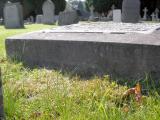 image of grave number 172303